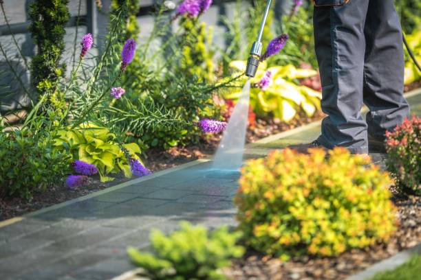 Best House Exterior Washing  in Deep River Center, CT