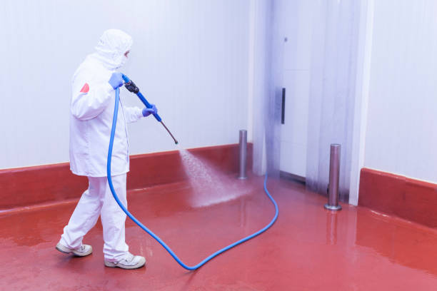 Best Graffiti Removal  in Deep River Center, CT